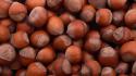 Nuts acorns wallpaper