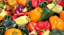 Vegetables multicolor food peppers wallpaper