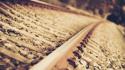 Close-up railroad tracks wallpaper