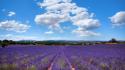 Clouds landscapes flowers fields lavender purple wallpaper