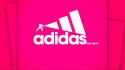 Adidas bosslogic pink background fighters wallpaper