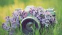 Flowers grass cameras lilac wallpaper