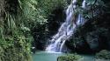 Forest jamaica waterfalls wallpaper
