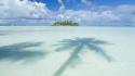 Paradise islands palm trees tahiti wallpaper