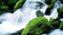 Rocks moss oregon mount jefferson waterfalls wallpaper