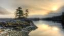 Sunset landscapes trees british columbia low tide wallpaper