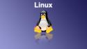 Linux tux penguins wallpaper