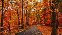 Nature trees autumn (season) path fallen leaves wallpaper