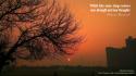 Sunset sunrise trees quotes simple clean wallpaper