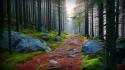 Trees wood path stones moss branches wallpaper