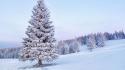 Winter snow trees forest wallpaper