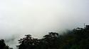 Clouds landscapes nature trees taiwan foggy skies wallpaper