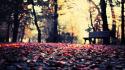 Landscapes autumn (season) bench bokeh fallen leaves wallpaper