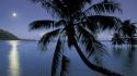 Moonlight french polynesia moorea bay wallpaper