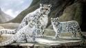 Snow leopards artwork baby animals wallpaper