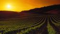 Sunset california napa valley wallpaper