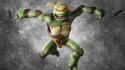 Teenage mutant ninja turtles turtle wallpaper
