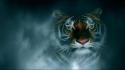 Tigers fantasy art wallpaper