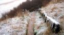 Winter coast fences grass path scotland frost wallpaper
