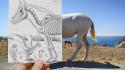 Animals horses skeletons bones pencil vs camera wallpaper