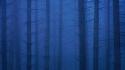 Blue velvet washington mount wallpaper