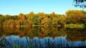 Landscapes nature trees forest lakes reflections wallpaper