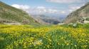 Mountains clouds nature flowers yellow scene wallpaper