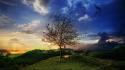 Clouds landscapes nature trees wallpaper