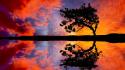 Clouds trees silhouette reflections wallpaper