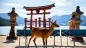 Deer asian architecture blurred background itsukushima shrine wallpaper