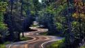 Nature forest roads wallpaper