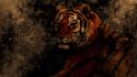 Abstract black animals tigers grunge brown background wallpaper