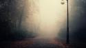 Fog lamps roads soft light foggy autumn wallpaper