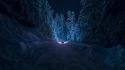 Landscapes snow trees night cars roads wallpaper