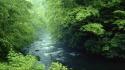 Tennessee rivers national park great smoky mountains wallpaper