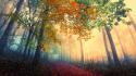 Trees autumn janek-sedlar wallpaper