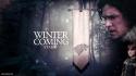 Tv series winter is coming house stark wallpaper