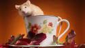 Animals leaves cups mice wallpaper
