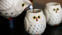 Cups owls drinks wallpaper
