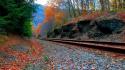 Forest stones railroad tracks contrast railway wallpaper