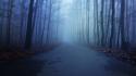 Horror blue winter autumn dark forests scary wallpaper