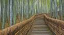 Japan nature bamboo path kyoto temple wallpaper