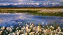 Landscapes nature alaska national park wallpaper