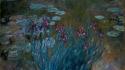 Lily pads giverny claude monet irises impressionism wallpaper