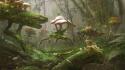 Mushrooms moss digital art artwork card game wallpaper