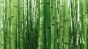 Green japan nature wallpaper