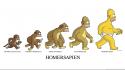 Humor homer simpson evolution the simpsons bananas monkeys wallpaper