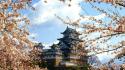 Japan nature cherry blossoms buildings castle himeji wallpaper
