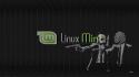 Linux mint wallpaper