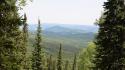Mountains landscapes nature pine trees wallpaper